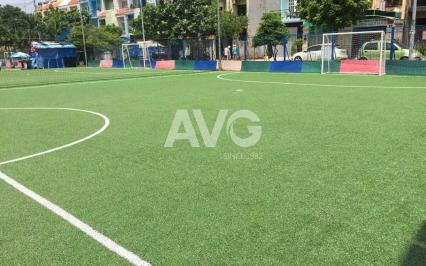 San bóng ?á, c? nhan t?o AVG