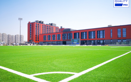 c? nhan t?o AVG, ?? d?t th?m kh?ng tráng keo, AVG DM400