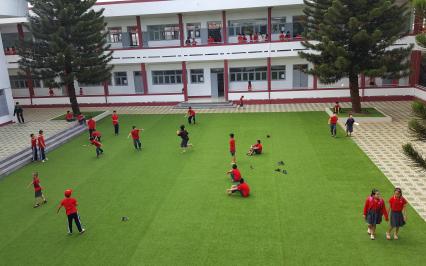 D? án c? san v??n AVG, c? nhan t?o AVG