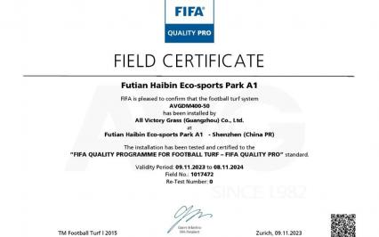 Thêm 3 c?m san bóng m?i c?a AVG giành ???c ch?ng ch? FIFA