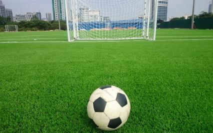 D? án san bóng ?á c? nhan t?o tiêu bi?u c?a AVG t?i Vi?t Nam