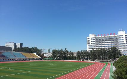 Làm th? nào ?? nang cao tr?i nghi?m th? thao trên san c? nhan t?o?