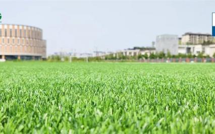 Quy trình thi c?ng san bóng c? nhan t?o ??t tiêu chu?n FIFA (Ph?n 1)