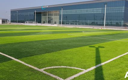 M?o hay ?? tránh mua ph?i c? nhan t?o kém ch?t l??ng?