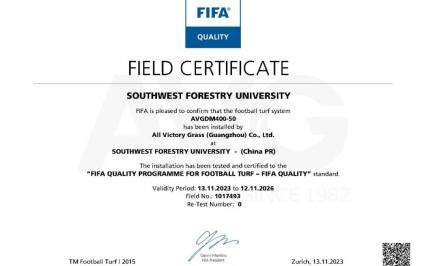 Trong tháng 11 này, AVG có thêm c?m san bóng th? 4 giành ???c ch?ng ch? FIFA