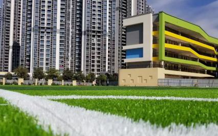 Nh?ng y?u t? quy?t ??nh giá c?a c? nhan t?o